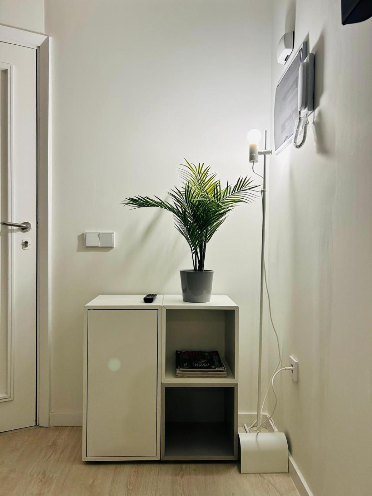 Vh Citycenter Apt Santa Cruz de Tenerife Zewnętrze zdjęcie